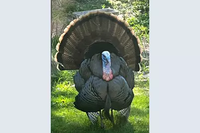 2870  Teal Ridge Ct #B, Brookfield, WI 53045 - Photo 41