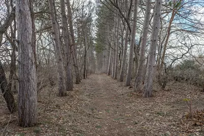 W7941  Tulip Ln, Holland, WI 54636 - Photo 63