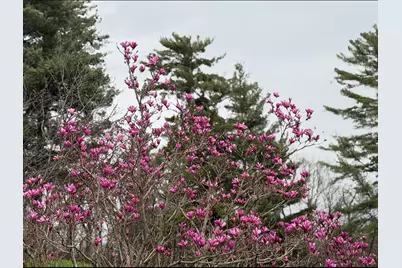 202  Ridgeview Ln, Lanesboro, MN 55949 - Photo 35