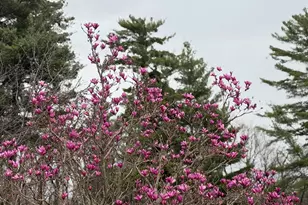 202 Ridgeview Ln, Lanesboro, MN 55949 - Photo 35