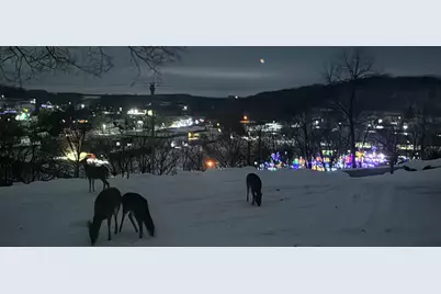 202  Ridgeview Ln, Lanesboro, MN 55949 - Photo 31