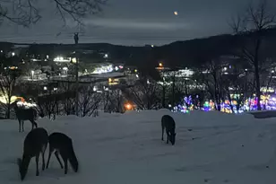 202 Ridgeview Ln, Lanesboro, MN 55949 - Photo 31