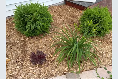 202  Ridgeview Ln, Lanesboro, MN 55949 - Photo 37