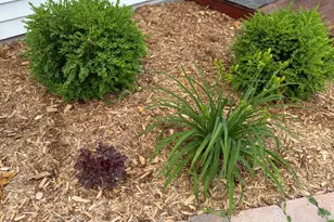 202 Ridgeview Ln, Lanesboro, MN 55949 - Photo 37