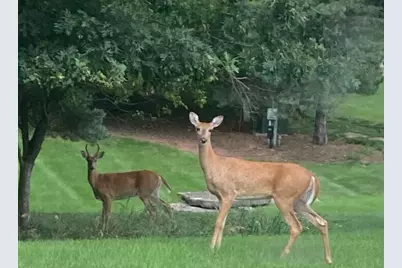 4280  Ridge Rd, Richfield, WI 53017 - Photo 45