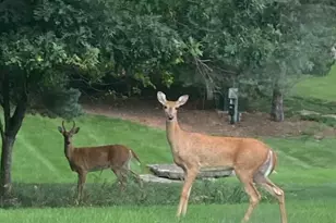 4280 Ridge Rd, Richfield, WI 53017 - Photo 45