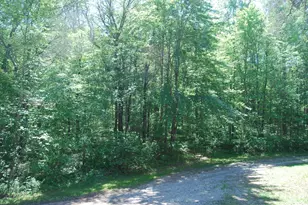 N11490 Nelson Rd, Athelstane, WI 54177 - Photo 33