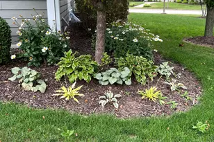 N72W7763 Harvest Ln, Cedarburg, WI 53012 - Photo 45