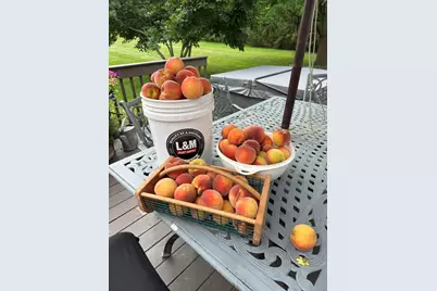 W254S7310  Glenview Dr, Vernon, WI 53189 - Photo 49