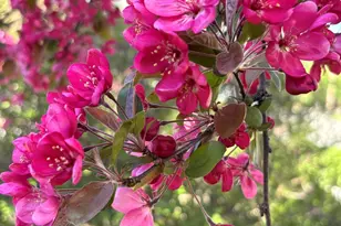 21965 W North Ave, Brookfield, WI 53045 - Photo 25