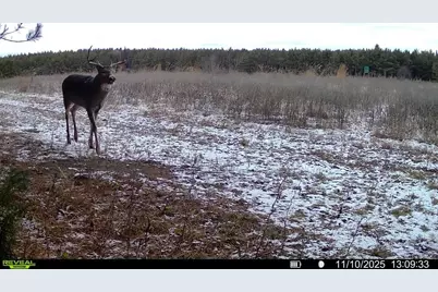 1565  State Highway 71 -, Little Falls, WI 56345 - Photo 25