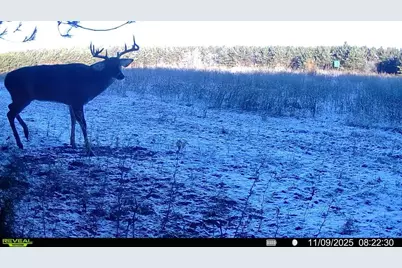 1565  State Highway 71 -, Little Falls, WI 56345 - Photo 35