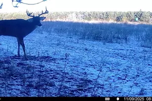 1565 State Hwy 71 -, Little Falls, WI 56345 - Photo 35