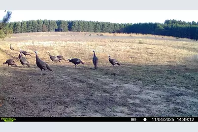 1565  State Highway 71 -, Little Falls, WI 56345 - Photo 31