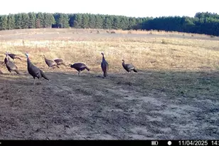 1565 State Hwy 71 -, Little Falls, WI 56345 - Photo 31