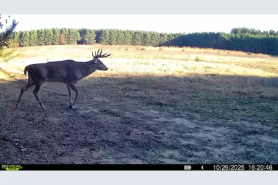 1565  State Highway 71 -, Little Falls, WI 56345 - Photo 27