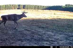 1565 State Hwy 71 -, Little Falls, WI 56345 - Photo 27