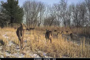 19249 State Hwy 56 -, Marshall, WI 53581 - Photo 67