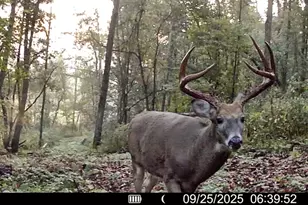 19249 State Hwy 56 -, Marshall, WI 53581 - Photo 5