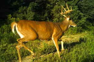 19249 State Hwy 56 -, Marshall, WI 53581 - Photo 55