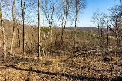 19249  State Highway 56 -, Marshall, WI 53581 - Photo 79