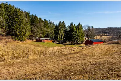 19249  State Highway 56 -, Marshall, WI 53581 - Photo 3