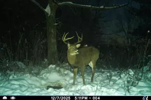 19249 State Hwy 56 -, Marshall, WI 53581 - Photo 61