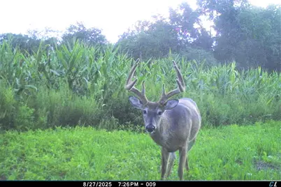 19249  State Highway 56 -, Marshall, WI 53581 - Photo 47