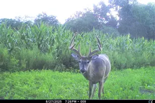 19249 State Hwy 56 -, Marshall, WI 53581 - Photo 47