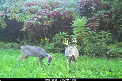 19249  State Highway 56 -, Marshall, WI 53581 - Photo 7