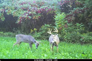 19249 State Hwy 56 -, Marshall, WI 53581 - Photo 7