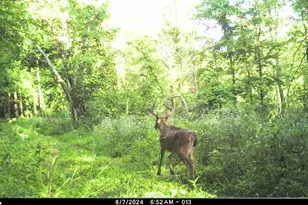 19249 State Hwy 56 -, Marshall, WI 53581 - Photo 51