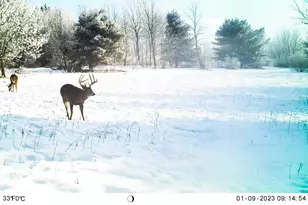 19249 State Hwy 56 -, Marshall, WI 53581 - Photo 65