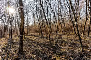 19249 State Hwy 56 -, Marshall, WI 53581 - Photo 41