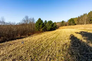 19249 State Hwy 56 -, Marshall, WI 53581 - Photo 39