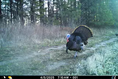 19249  State Highway 56 -, Marshall, WI 53581 - Photo 69