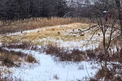 19249  State Highway 56 -, Marshall, WI 53581 - Photo 63