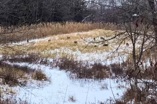 19249 State Hwy 56 -, Marshall, WI 53581 - Photo 63