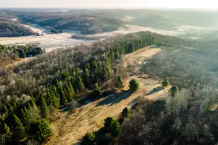 19249 State Hwy 56 -, Marshall, WI 53581 - Photo 37