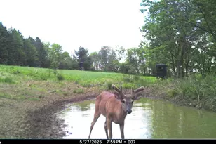 19249 State Hwy 56 -, Marshall, WI 53581 - Photo 49