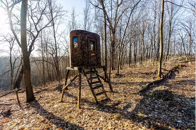 19249  State Highway 56 -, Marshall, WI 53581 - Photo 75