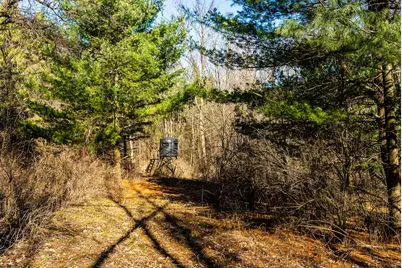 19249  State Highway 56 -, Marshall, WI 53581 - Photo 33