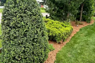 2400 W Cherokee Dr, Appleton, WI 54914 - Photo 47