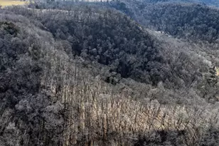 N2974 Pebble Valley Rd, Bergen, WI 54658 - Photo 43