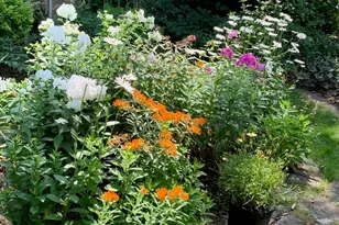 3467 N Frederick Ave, Milwaukee, WI 53211 - Photo 95