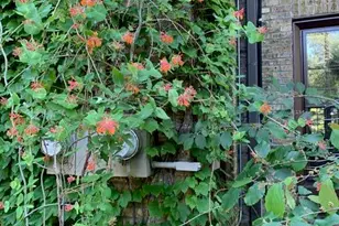 3467 N Frederick Ave, Milwaukee, WI 53211 - Photo 87