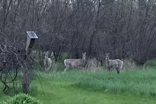 S38W31902 Wern Way, Genesee, WI 53189 - Photo 39