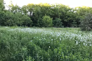 S38W31902 Wern Way, Genesee, WI 53189 - Photo 43