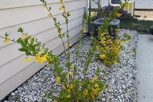 3646 S 14th St, Milwaukee, WI 53221 - Photo 11