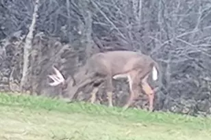 E10880 Co Rd P, Clinton, WI 54667 - Photo 51